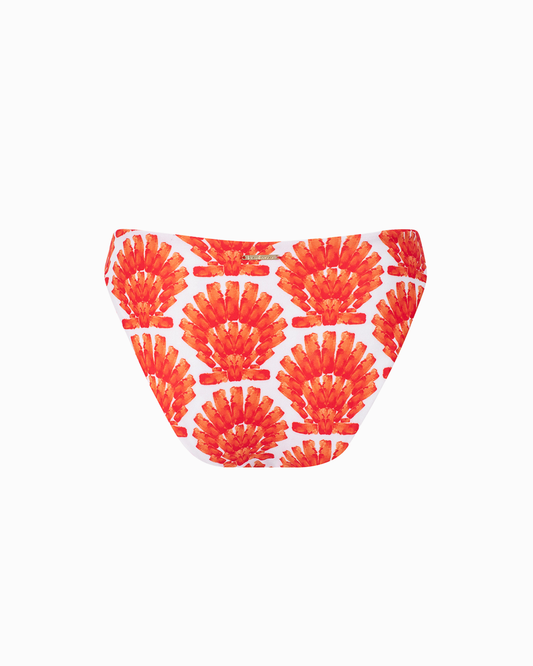 Bottom Corte Regular Cynta