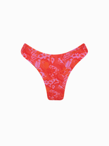 DELTA DEL ASA INFERIOR CÚCUTA