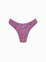 DELTA DEL ASA INFERIOR SANDIA