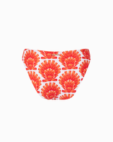 Bottom Corte Regular Cynta