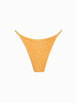 BOTTOM ASA DELTA REDUZIDA COM REGULADOR LULO