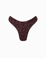 Braguita Brasileña Mimpi