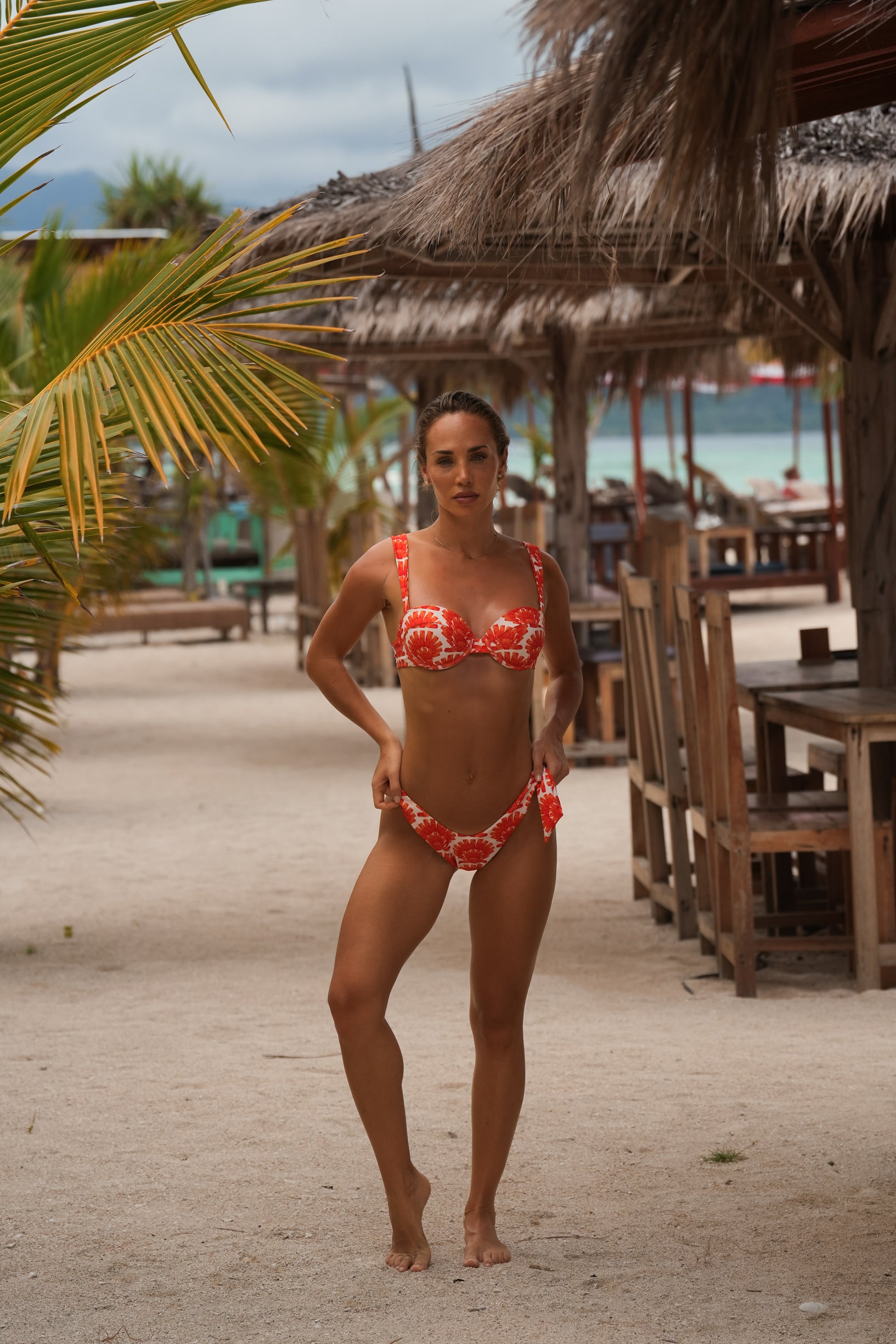 Braguita Brasileña con Lazo Menyukai