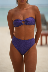 Braguita Alta Tanaman