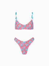 BIKINI KAKTO